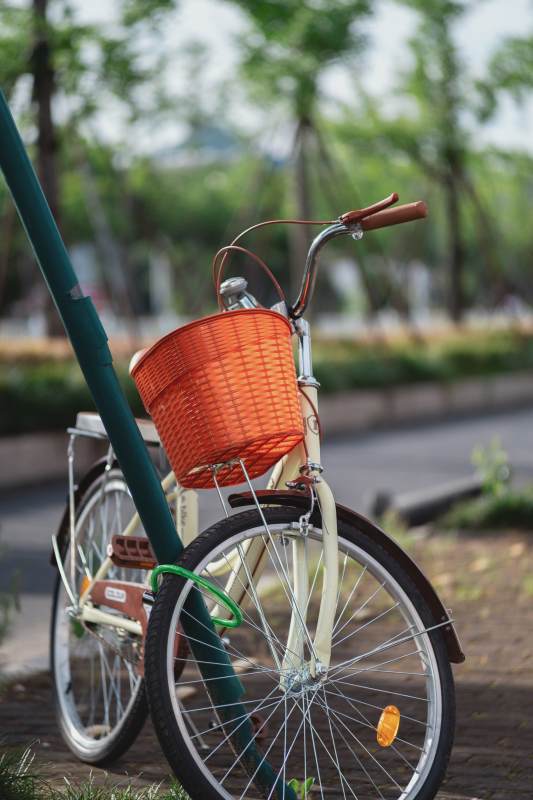 橙篮自行车 静谧公园景图片