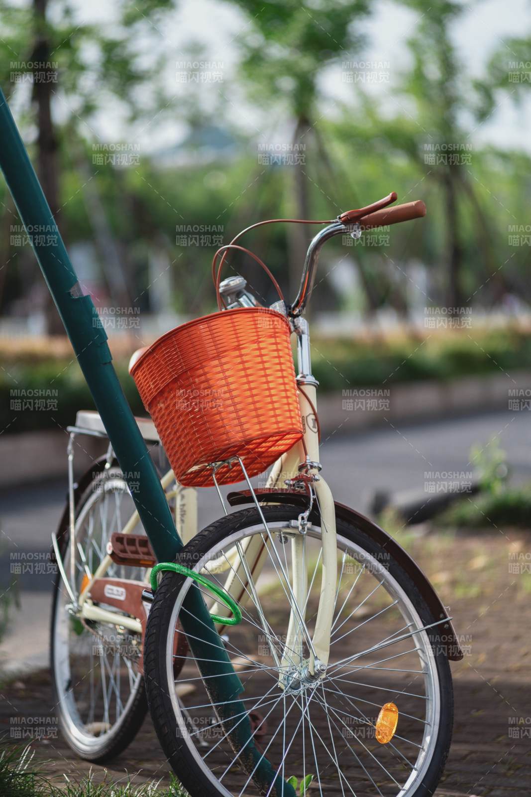 橙篮自行车 静谧公园景图片