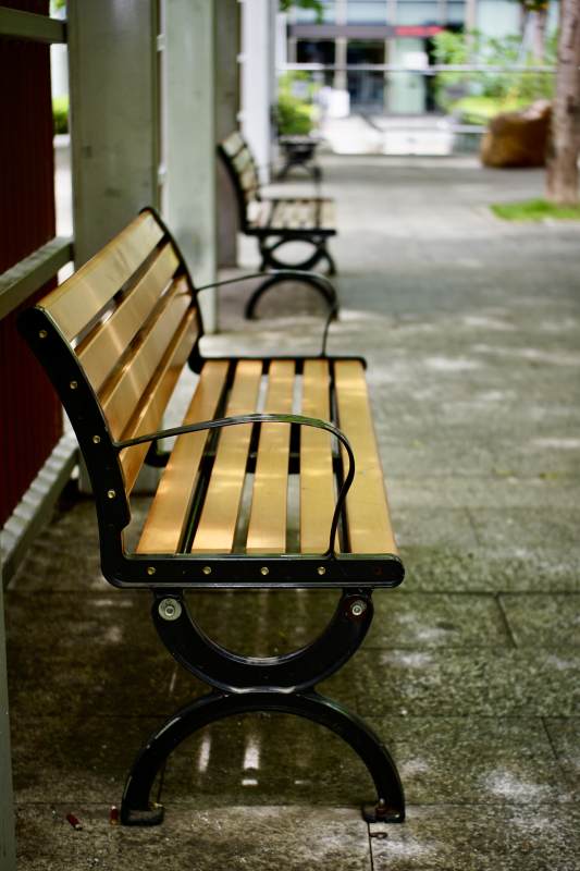 静谧街角的木质长椅图片