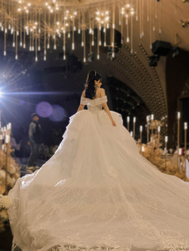 梦幻婚纱 华丽登场图片