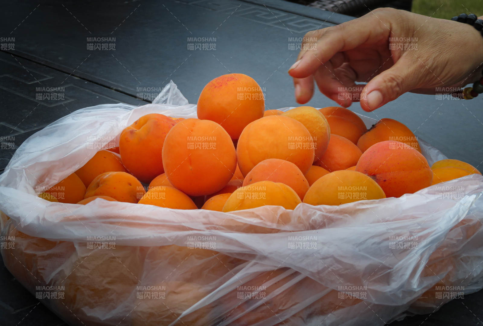 手拿新鲜杏子 袋装满满图片
