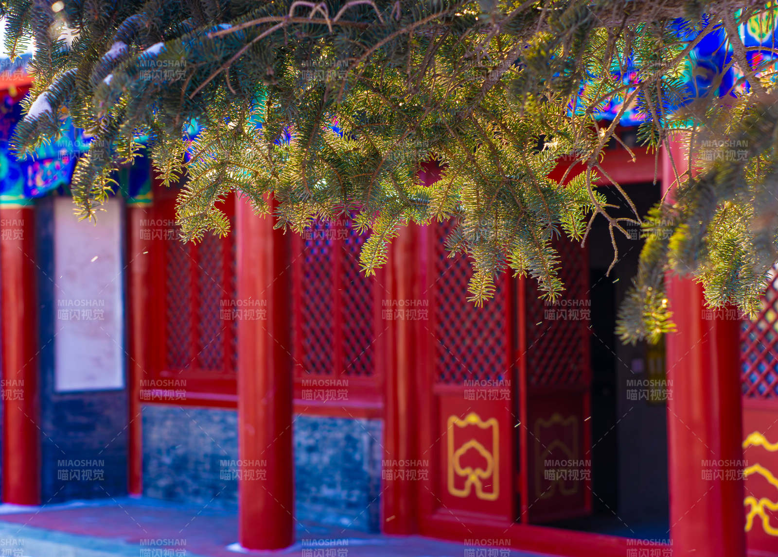 古建筑红门与松枝相映图片