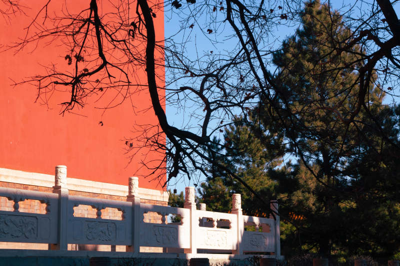 红墙古栏映冬枝图片