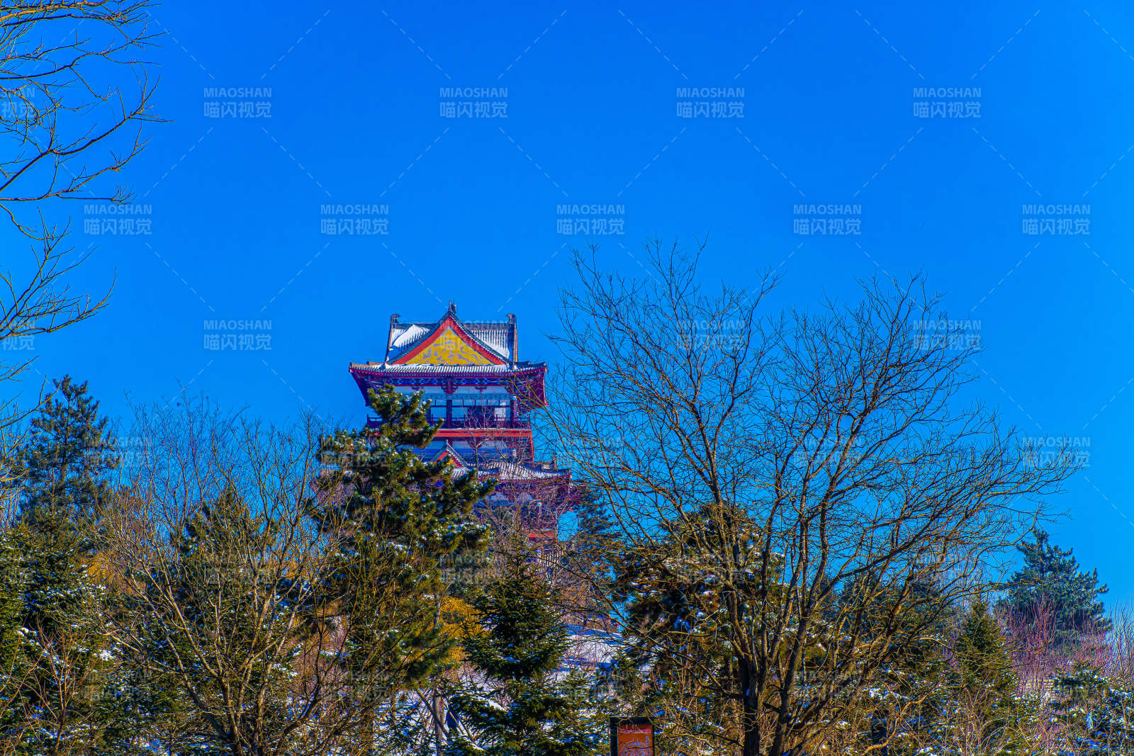 冬日古塔映蓝天图片