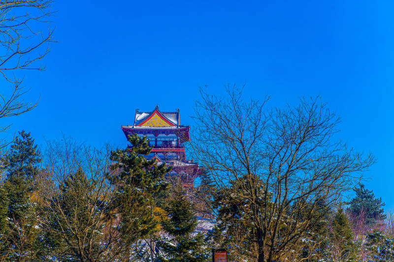 冬日古塔映蓝天图片