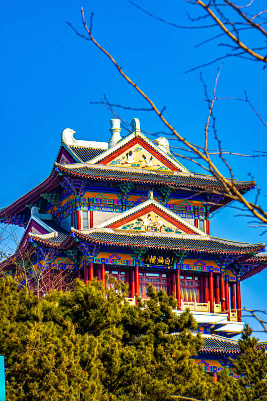 古塔楼阁映蓝天图片