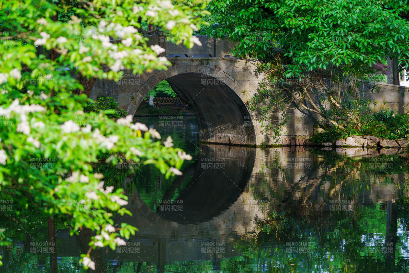 桥影映水绿树成荫图片