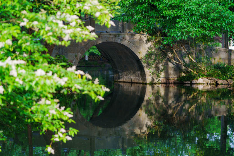 桥影映水绿树成荫图片