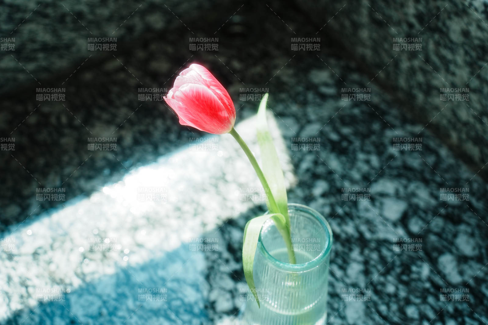 孤花静影 心之独语图片