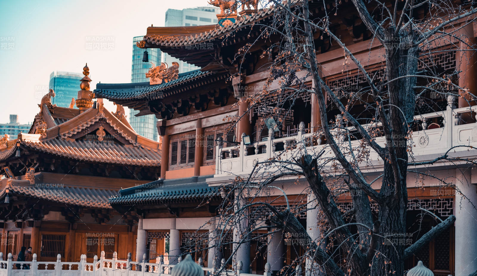 上海静安寺冬景 静谧祥和图片