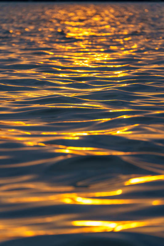 金色波光粼粼的水面图片