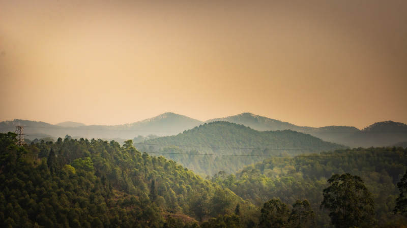 山林晨雾 静谧自然图片