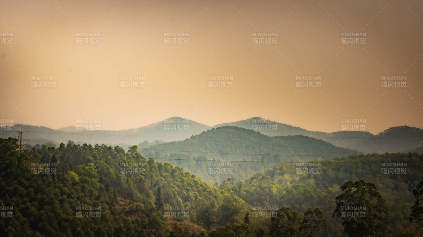 山林晨雾 静谧自然图片