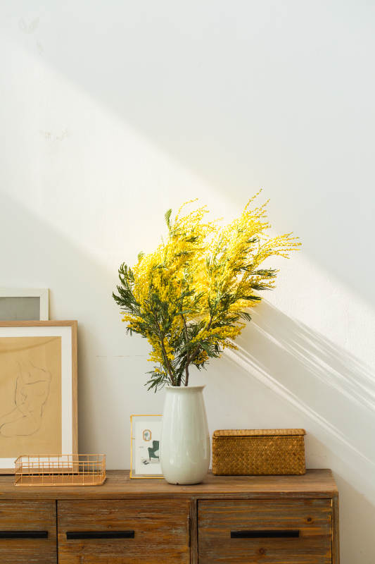 阳光下的温馨花艺角图片