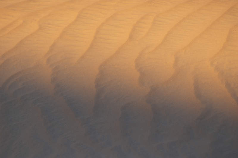 沙漠沙丘的金色纹理图片