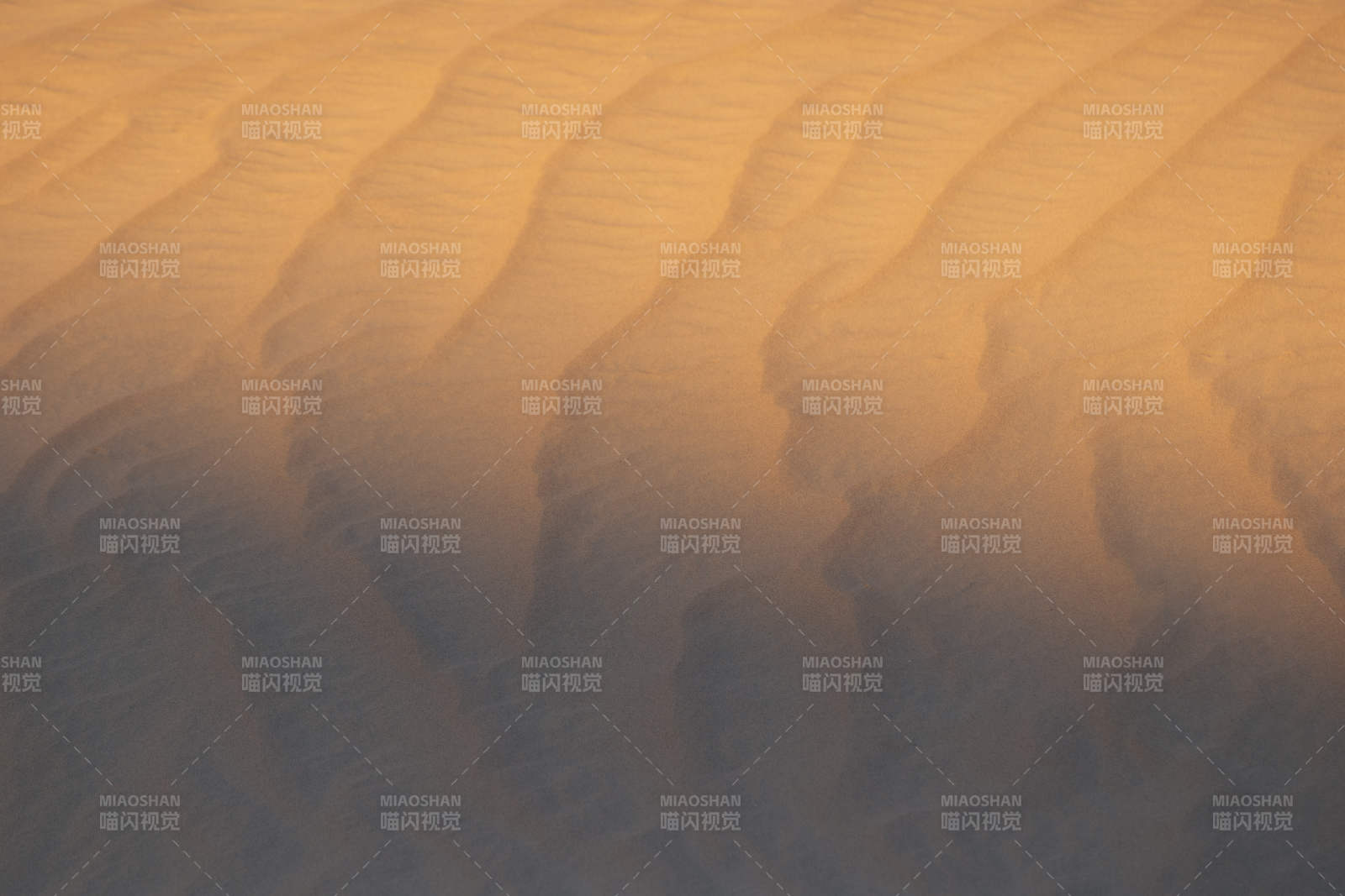 沙漠沙丘的金色纹理图片