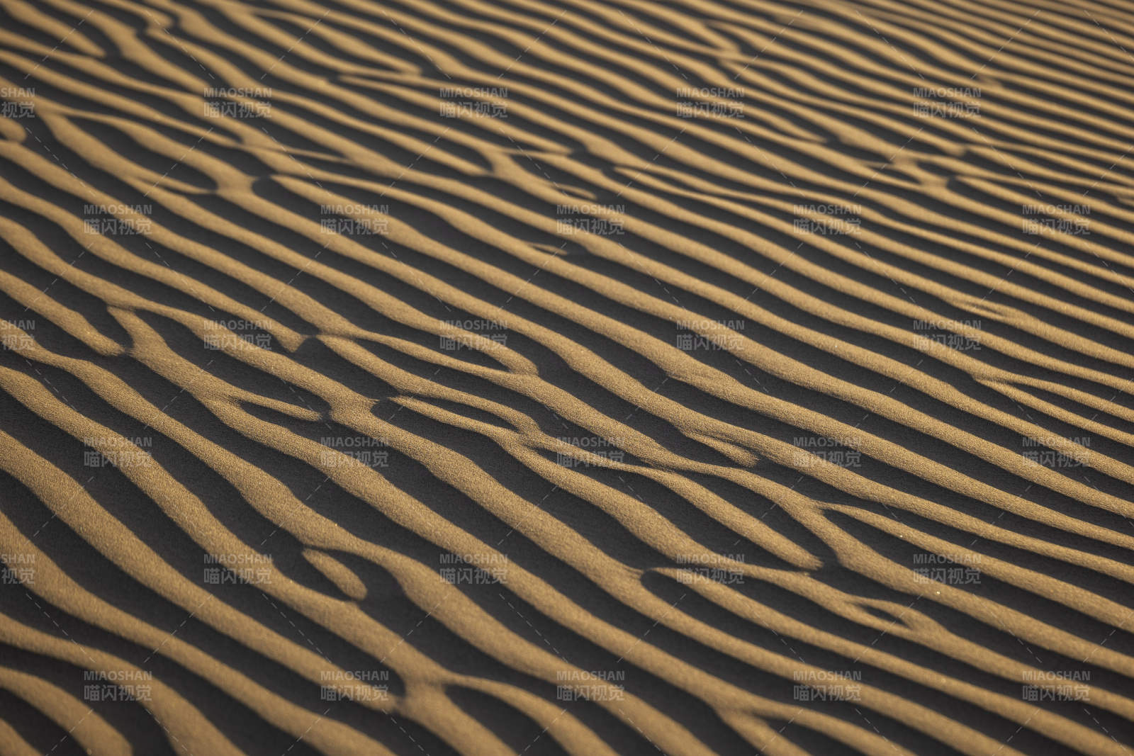 沙漠沙丘纹理特写图片