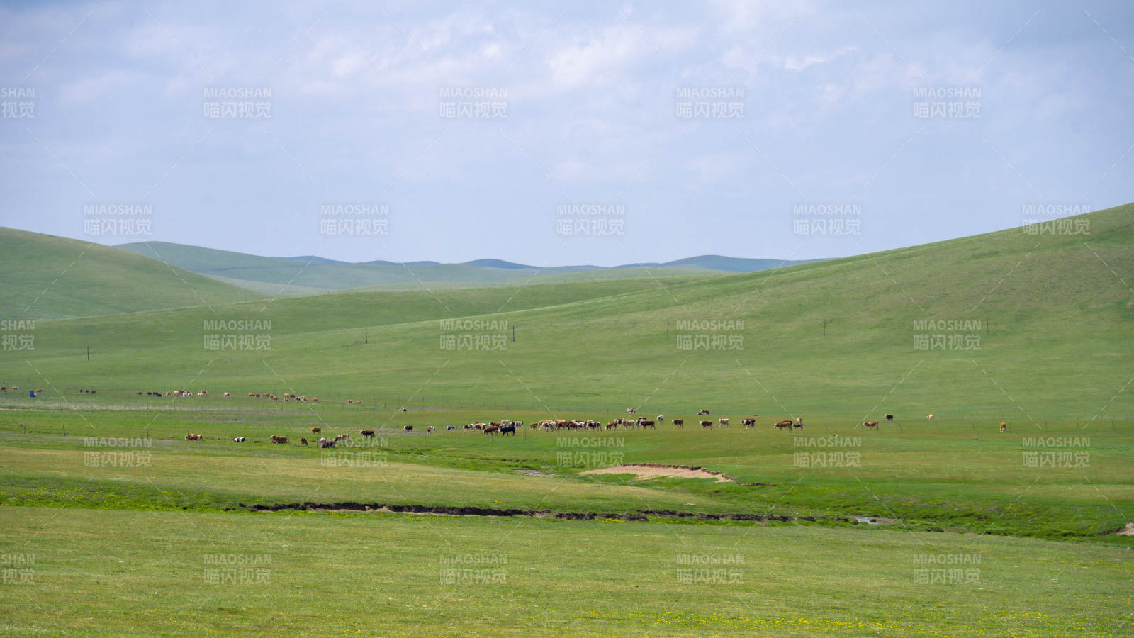 草原牧歌 牛羊成群图片