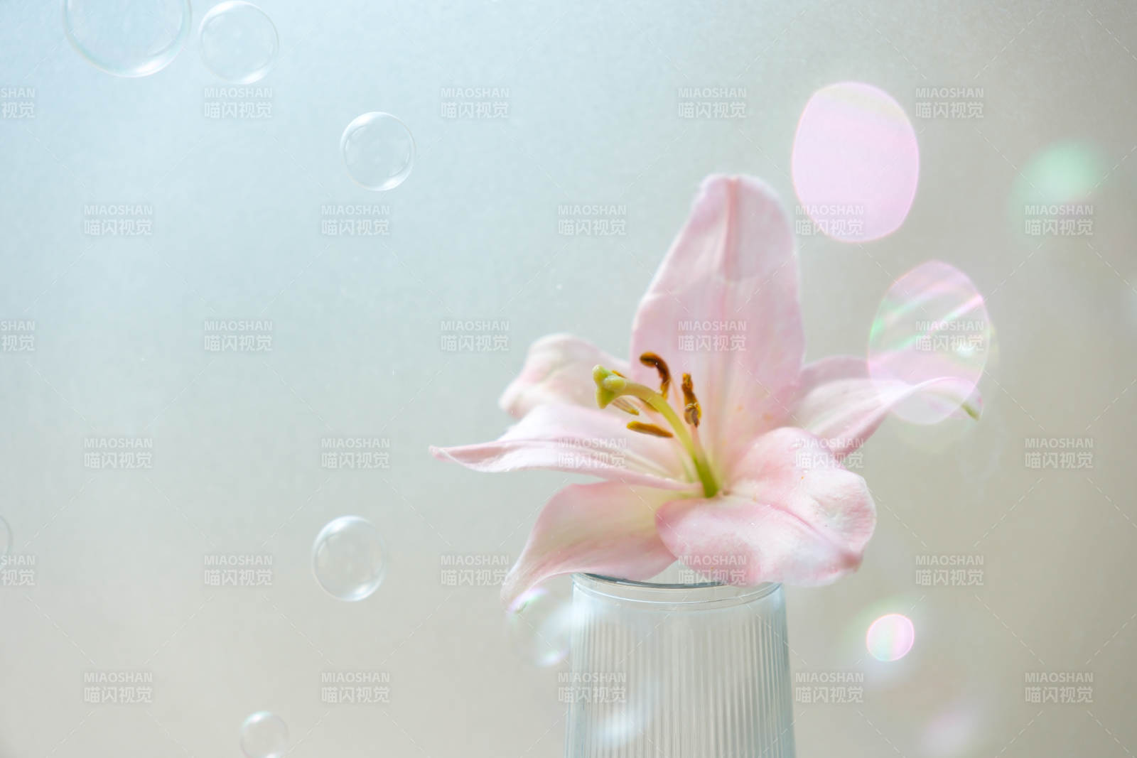 粉色百合与泡泡的梦幻场景图片