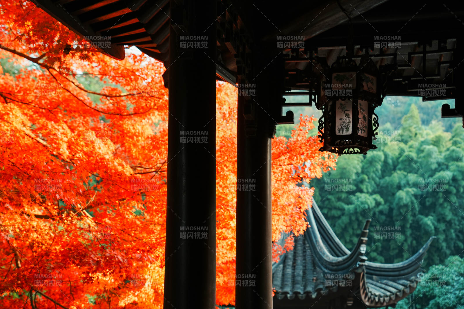 秋色古寺 红叶映辉图片