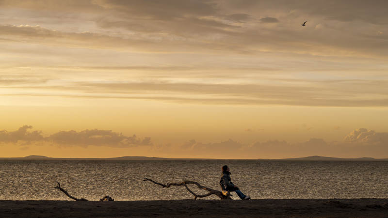 海边黄昏 独坐沉思图片
