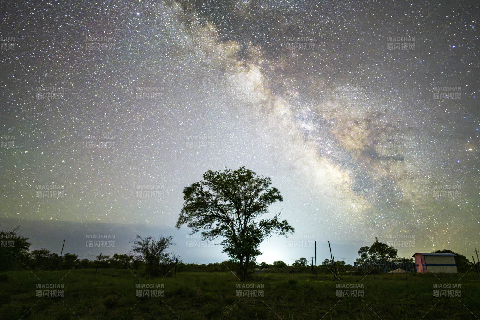 星空下的孤树与银河图片