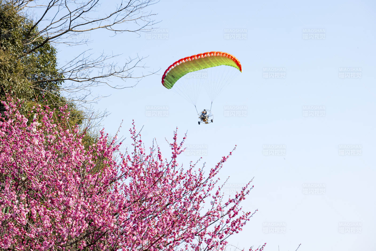 滑翔伞飞越花海美景图片