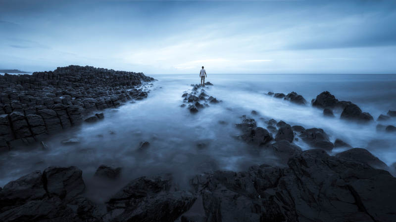 孤独的海岸守望者图片