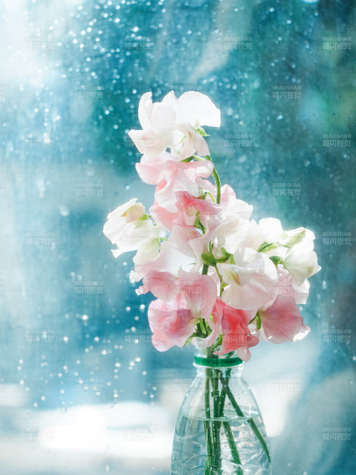 雨中花影 清新淡雅图片