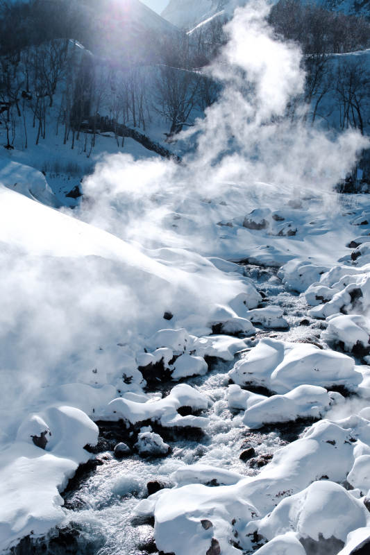 长白山雪地温泉 热气腾腾图片