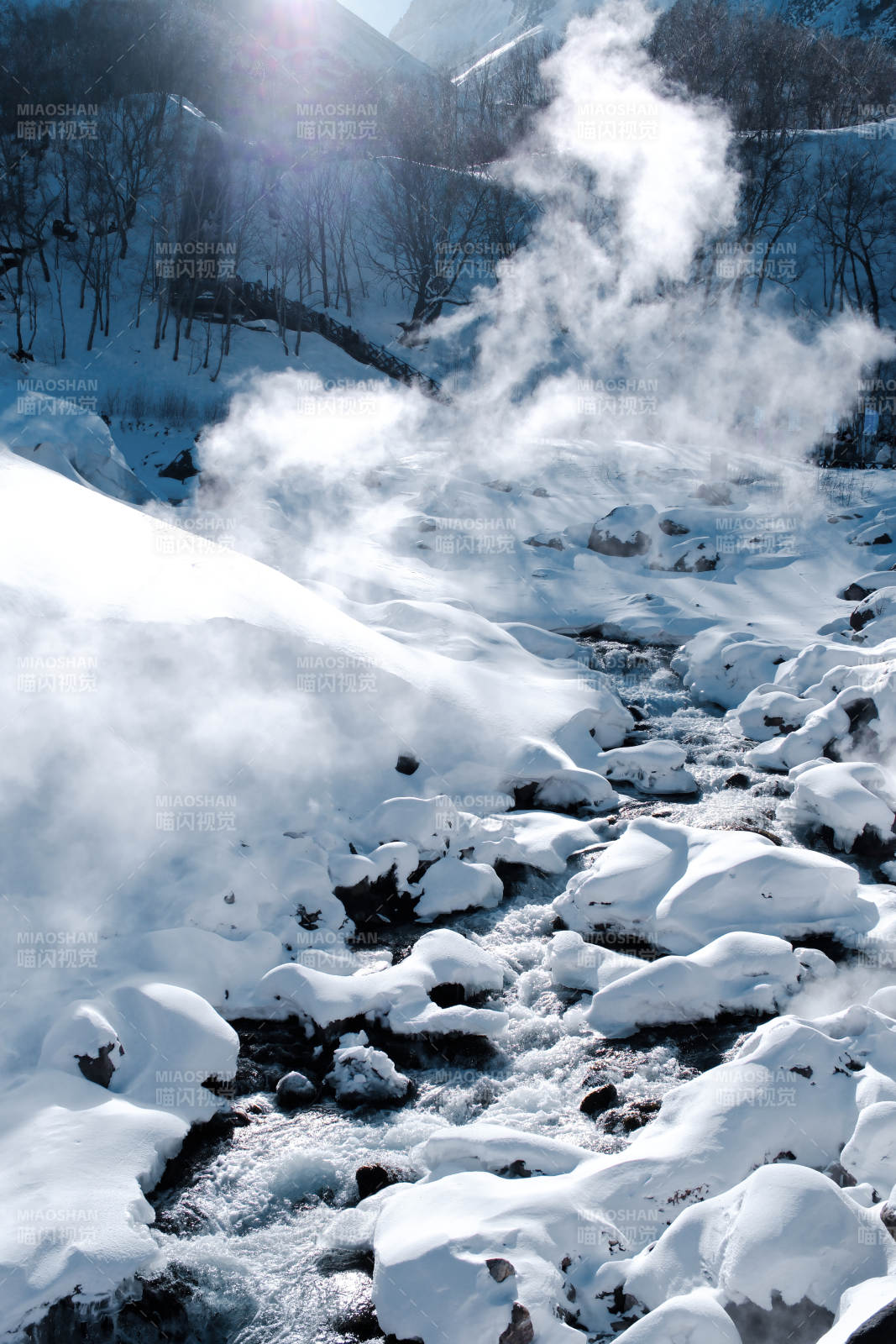 长白山雪地温泉 热气腾腾图片