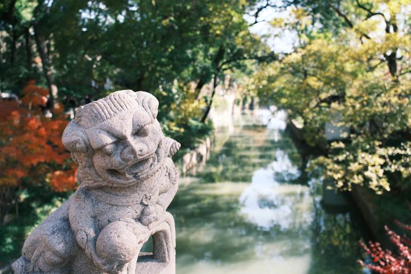 虎丘石狮守望 绿树成荫图片