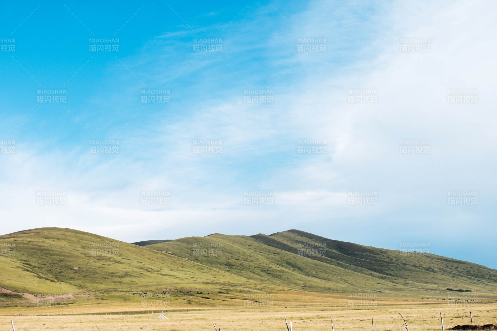 草原蓝天 宁静自然图片