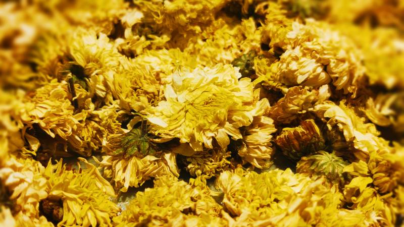 金黄色花瓣的特写镜头图片