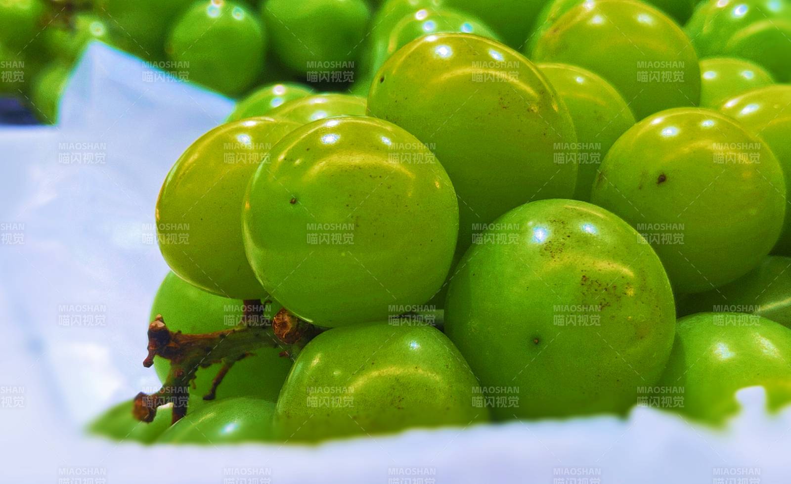 新鲜绿色葡萄特写图片