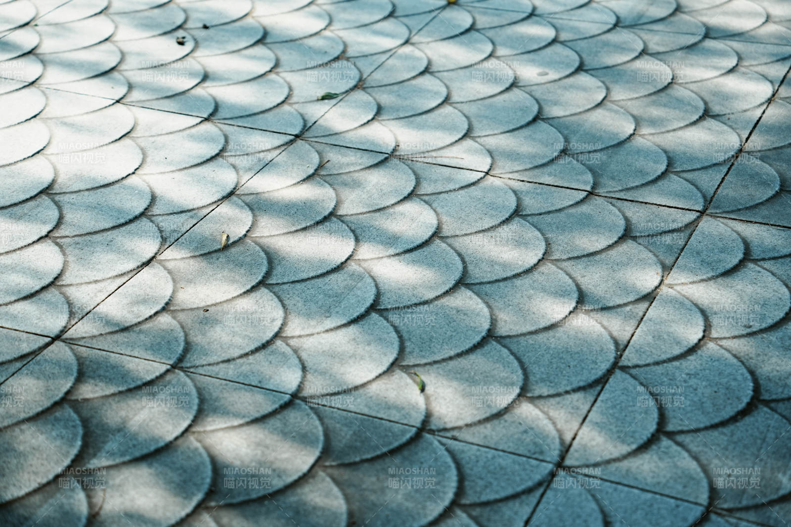 光影交错的鳞片地面纹理图片