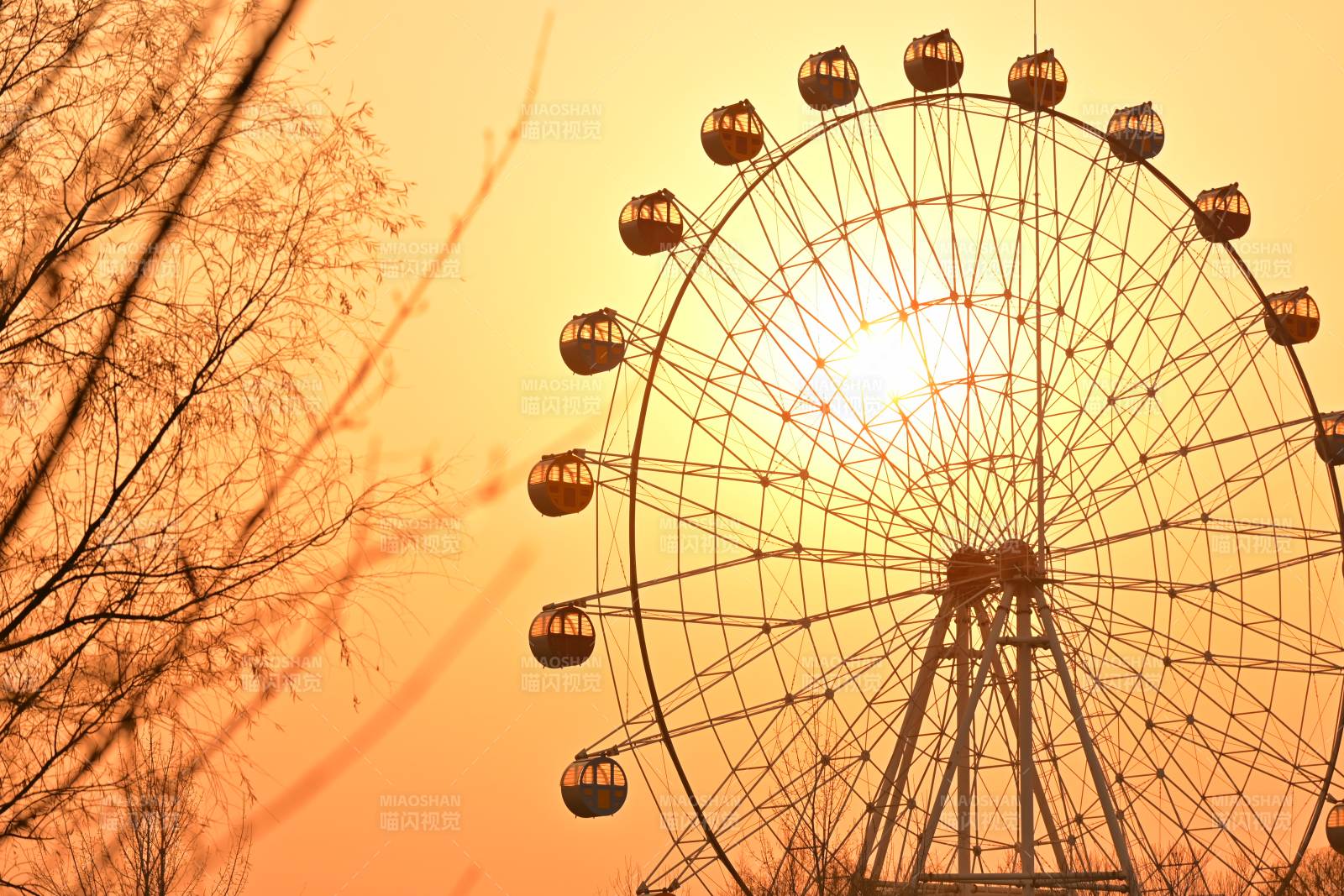 夕阳下的摩天轮图片