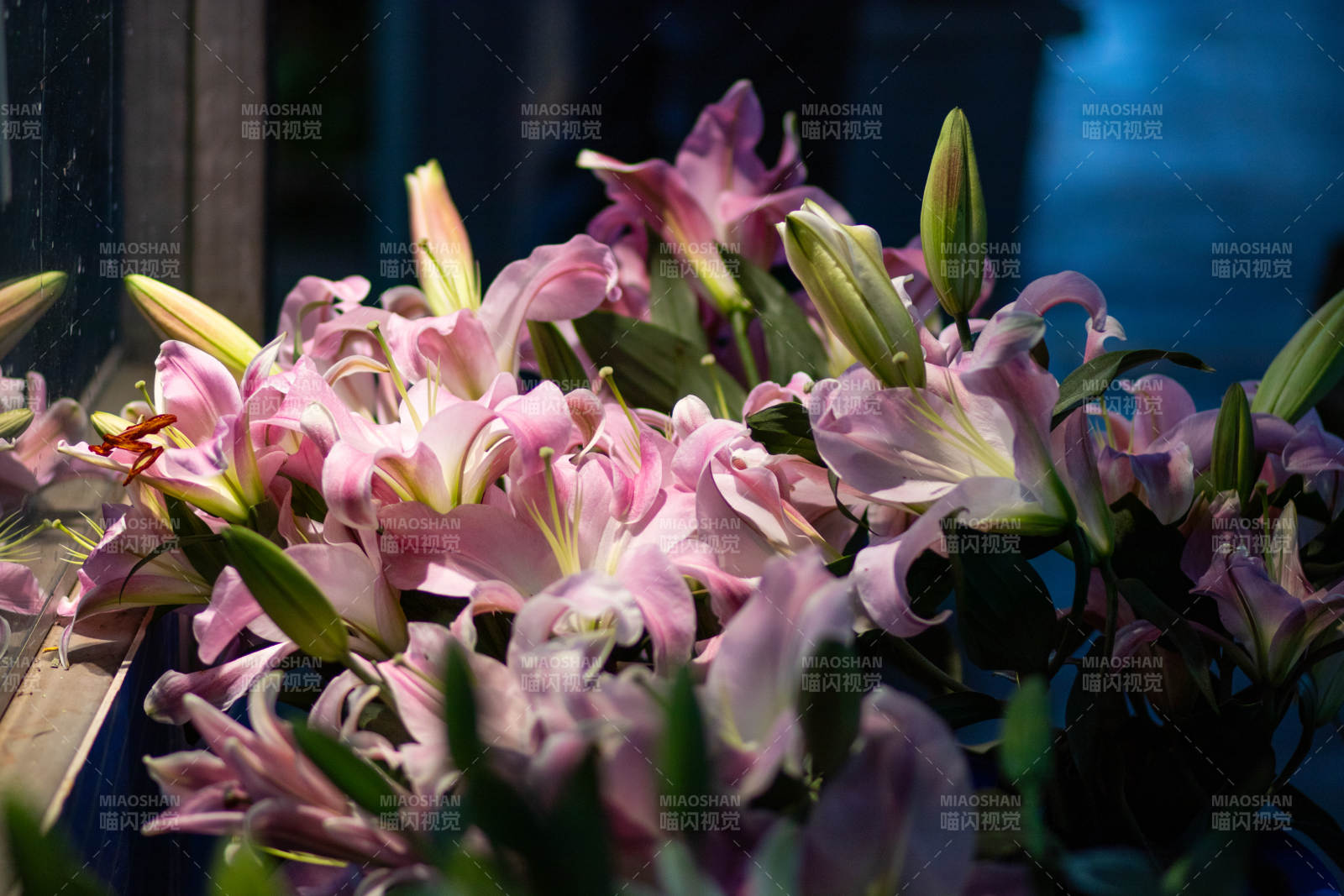 粉色百合花束特写图片