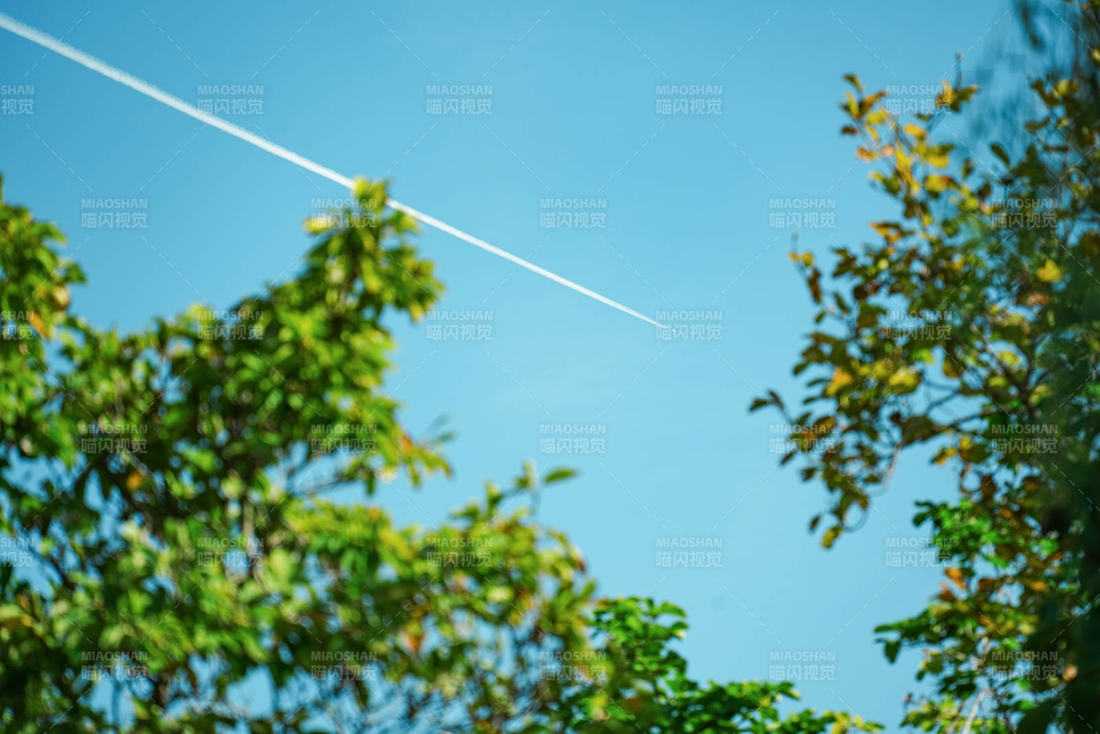 蓝天白云 飞机划过图片