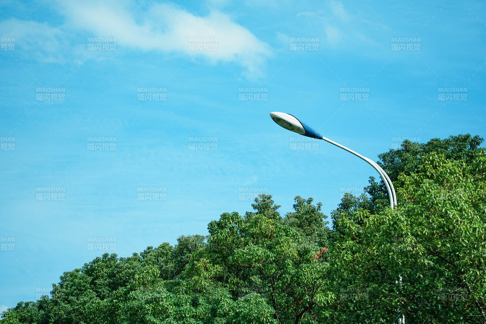 蓝天下的路灯与绿树图片