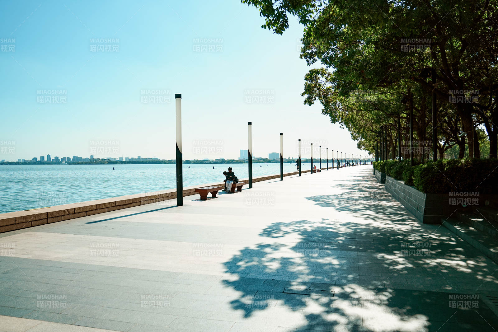 金鸡湖湖畔步道 树影婆娑图片