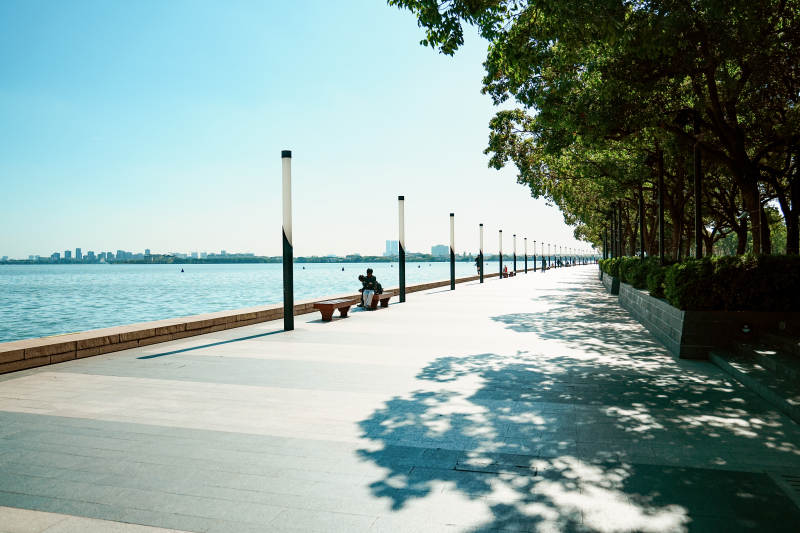 金鸡湖湖畔步道 树影婆娑图片