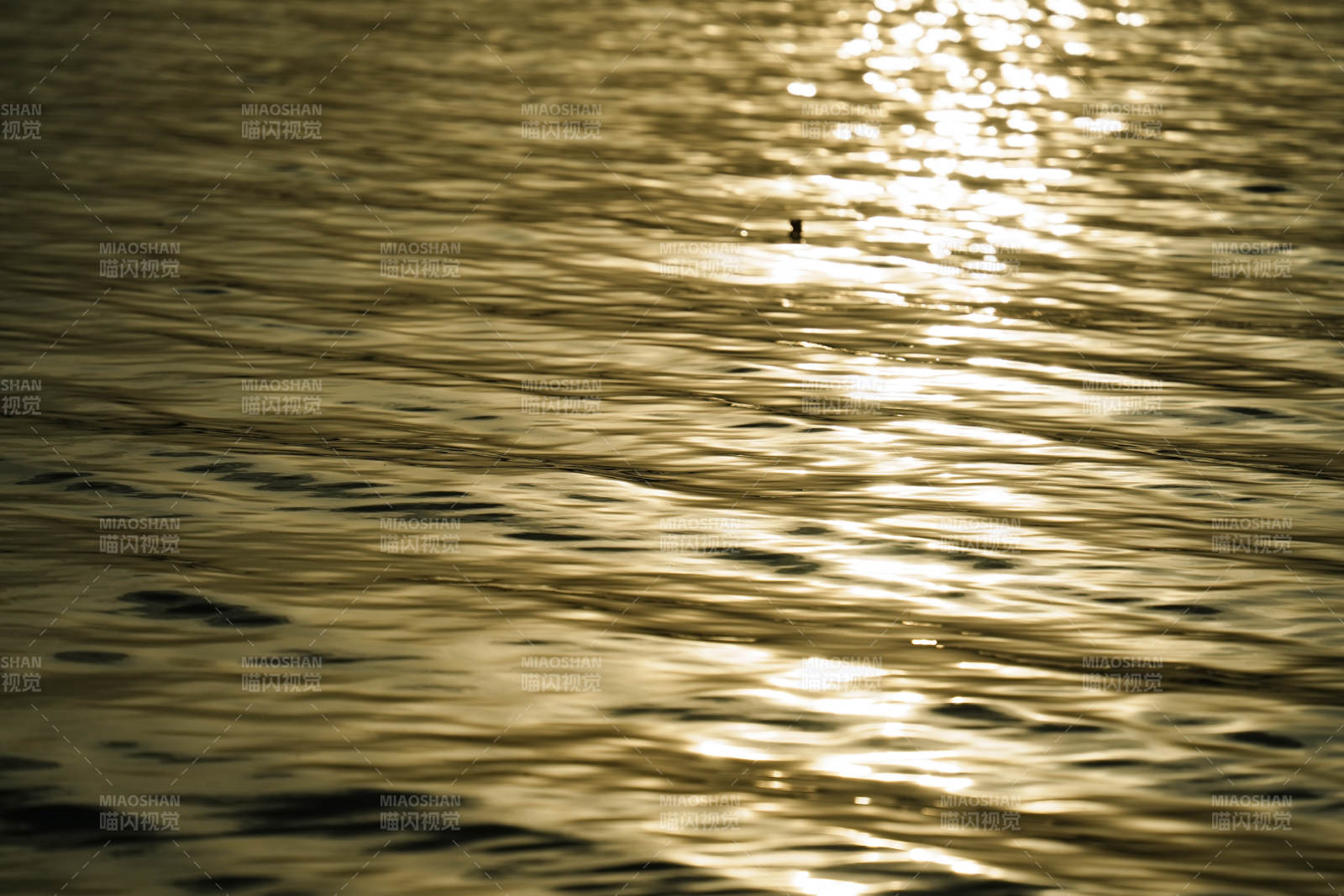 金色波光粼粼的水面图片