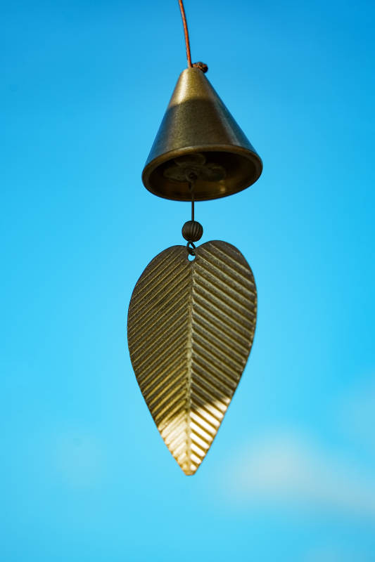 风铃与叶 蓝天映衬图片