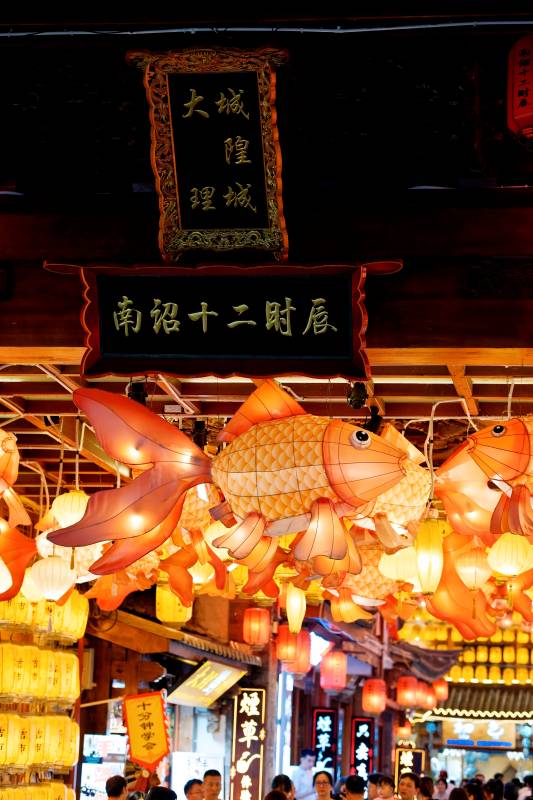 夜市灯笼鱼灯璀璨辉煌图片