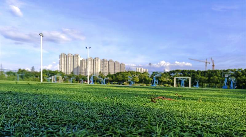 城市绿地与高楼远景图片