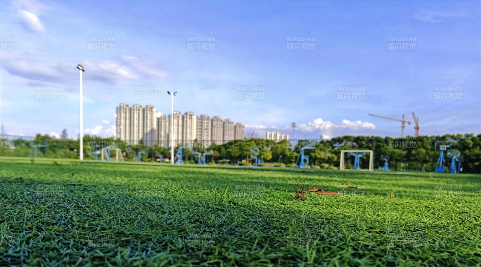 城市绿地与高楼远景图片