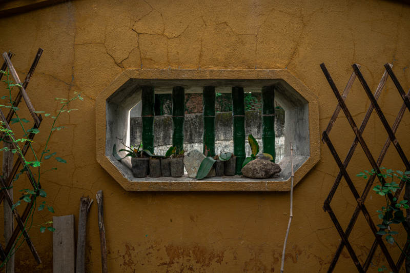 古墙窗景 绿植点缀图片