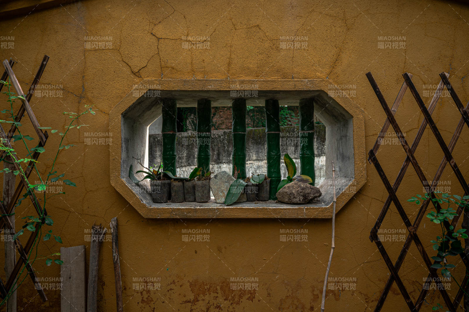 古墙窗景 绿植点缀图片