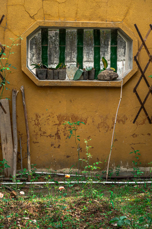 旧墙窗下的自然角落图片